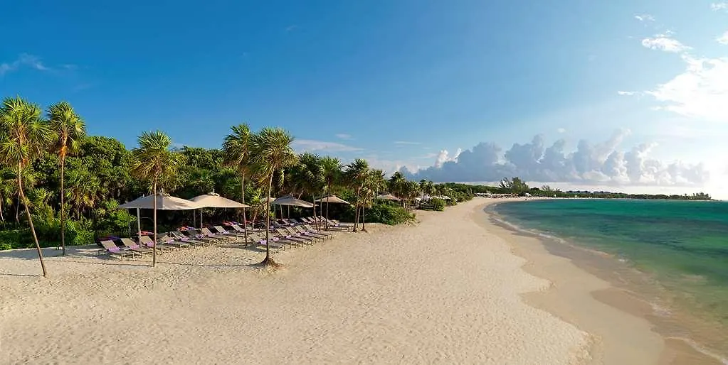 The Reserve Paradisus Playa Del Carmen (Adults Only) Mexico